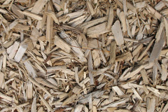 biomass boilers Pant Glas
